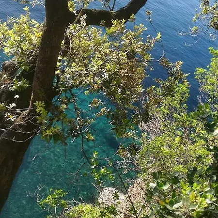 La Casa Di Ely Nel Cuore Di A 30 Mt Dal Mare Appartement